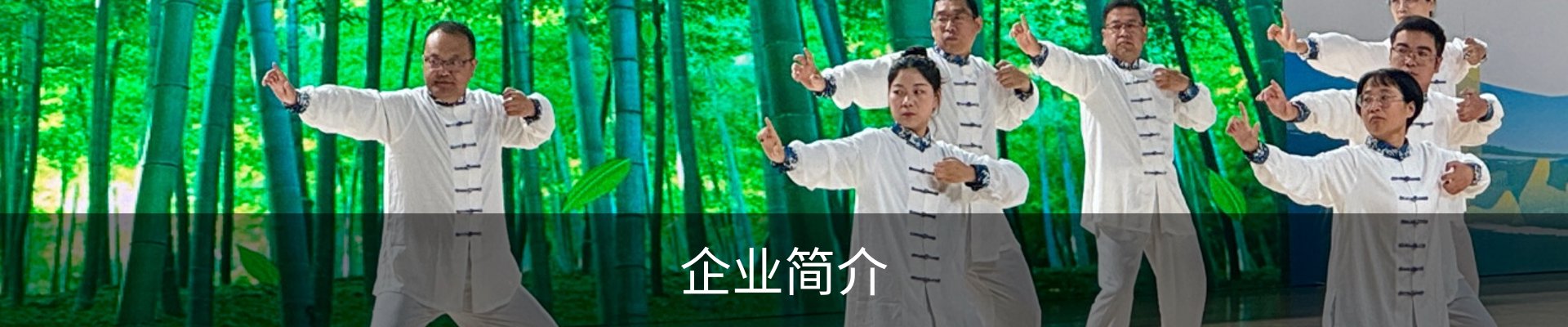 企业简介